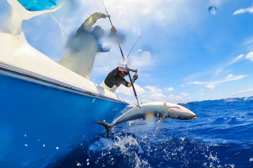 Techniques for Catching Trophy Fish in Key Biscayne