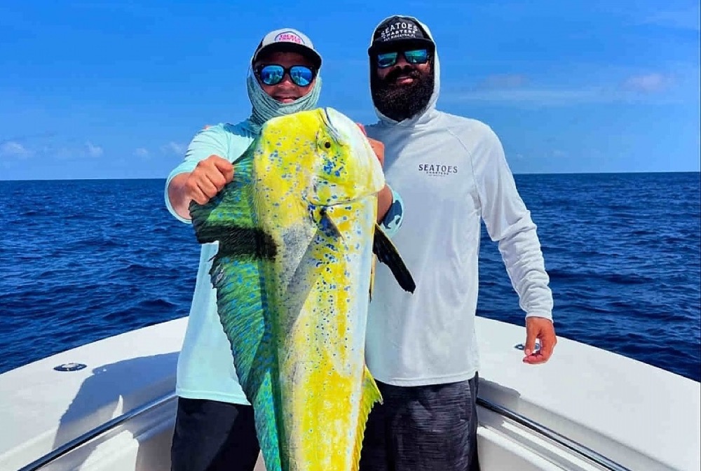 Mahi-Mahi (Dolphinfish)