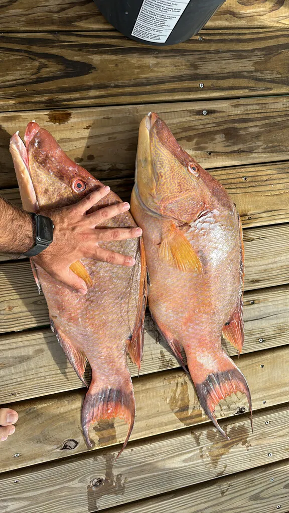 Family enjoying a successful snapper fishing trip on the reefs of Key Biscayne during snapper season