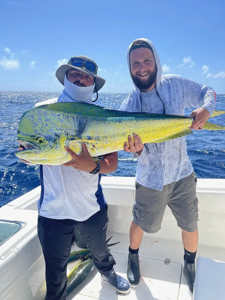 Summer mahi fishing action in Key Biscayne with anglers landing dorado in blue waters