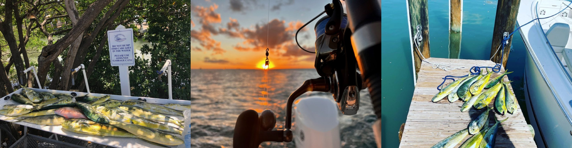 Collage of men on a dock, people on a boat, and several holding fish