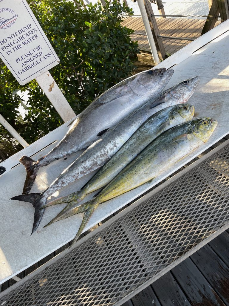 Several fish laid out on a table after a successful fishing trip