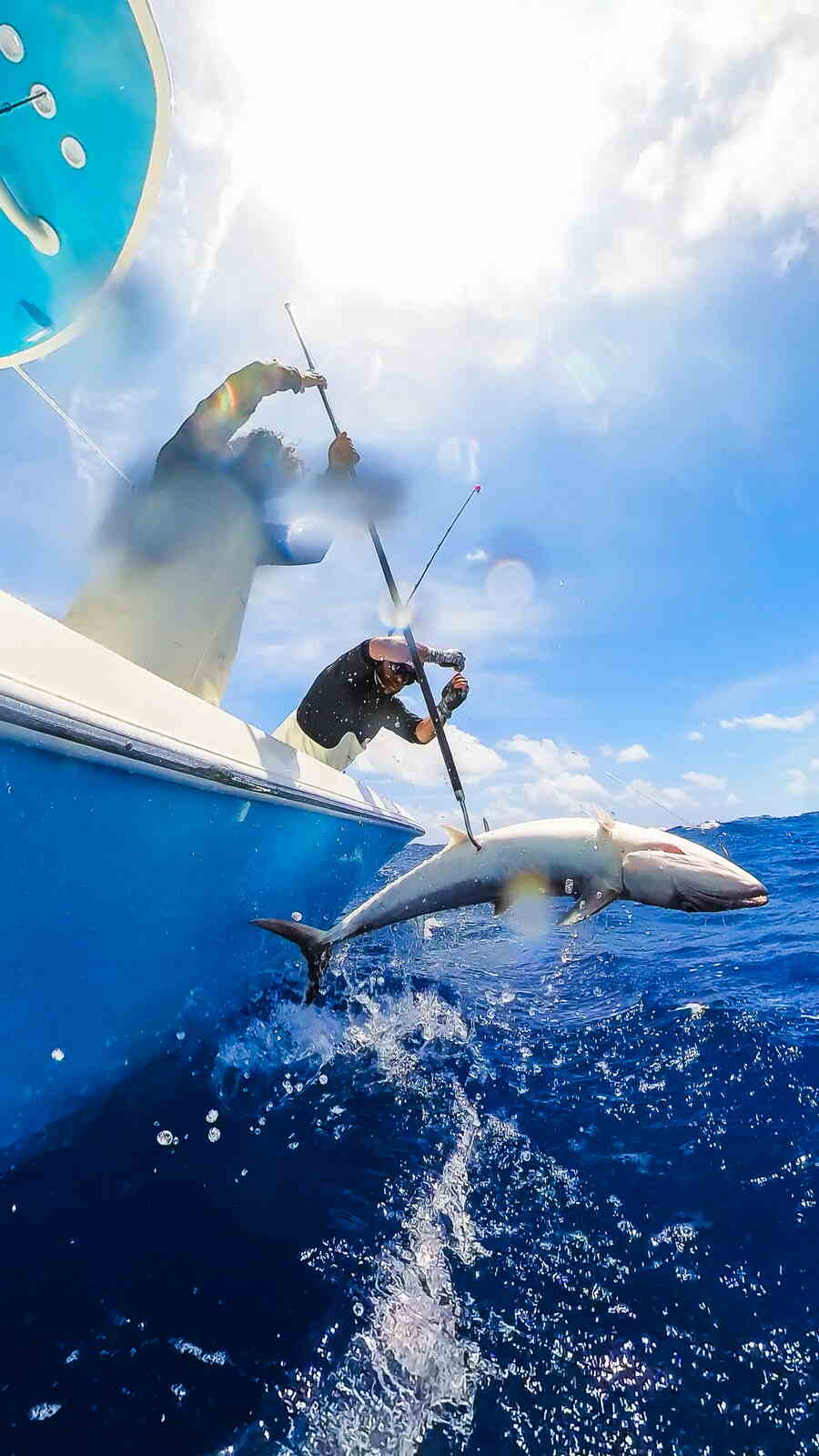 A person with a fishing rod and a shark jumping out of the water in North Miami