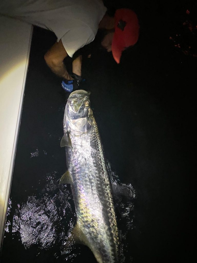 A large fish swimming in the water during a Coconut Grove trip