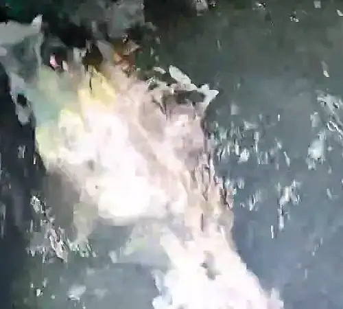 Video Jul 19 2024, 4 01 28 PM.mov