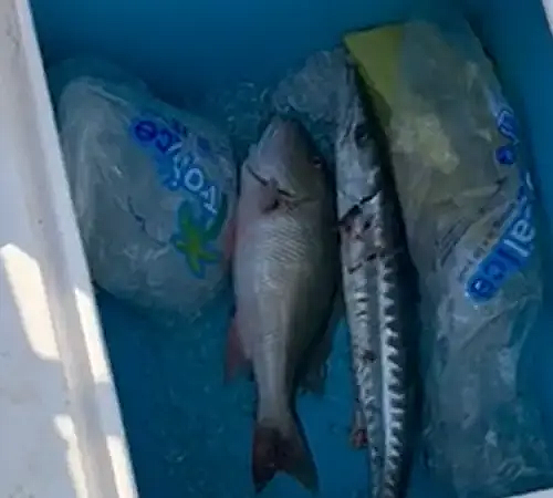 Video May 26 2024, 9 07 47 AM.mov