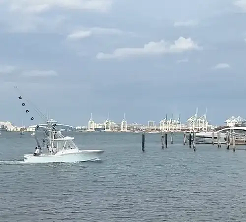 seatoescharters - 13