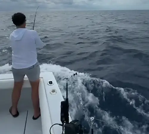 seatoescharters - 14