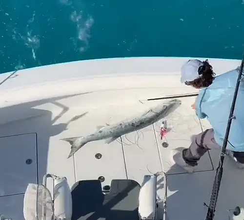 seatoescharters - 15