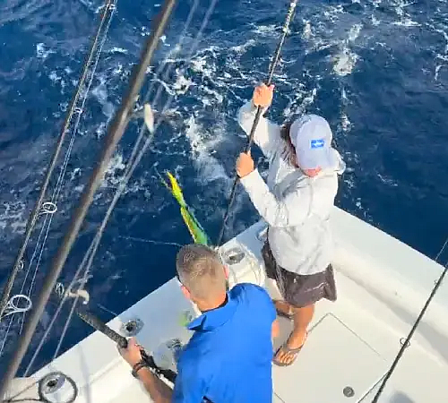 seatoescharters - 17