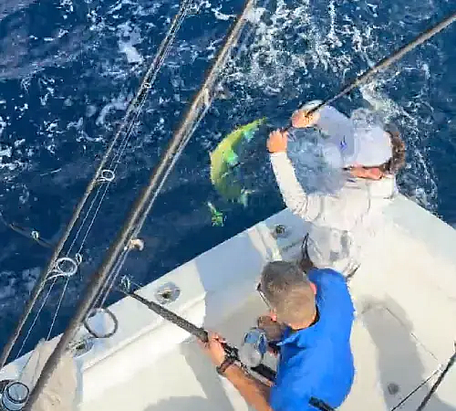 seatoescharters - 17